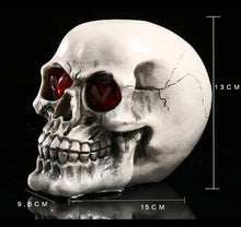 Load image into Gallery viewer, Home Decor Human Resin Skull Moulds
