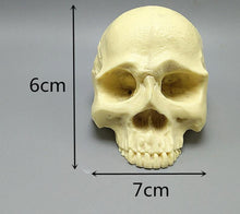 Load image into Gallery viewer, 3D Skull Silicone Mold
