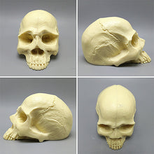 Load image into Gallery viewer, 3D Skull Silicone Mold
